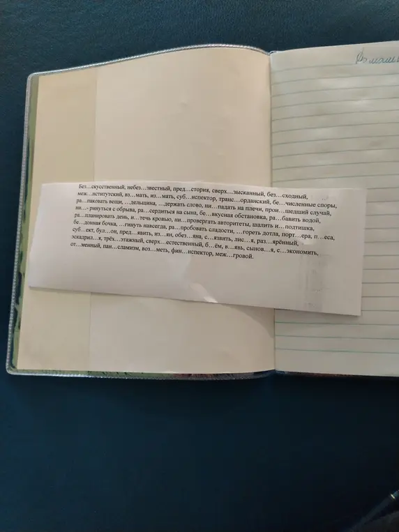 Ты просишь помочь вставить пропущенные буквы в слова