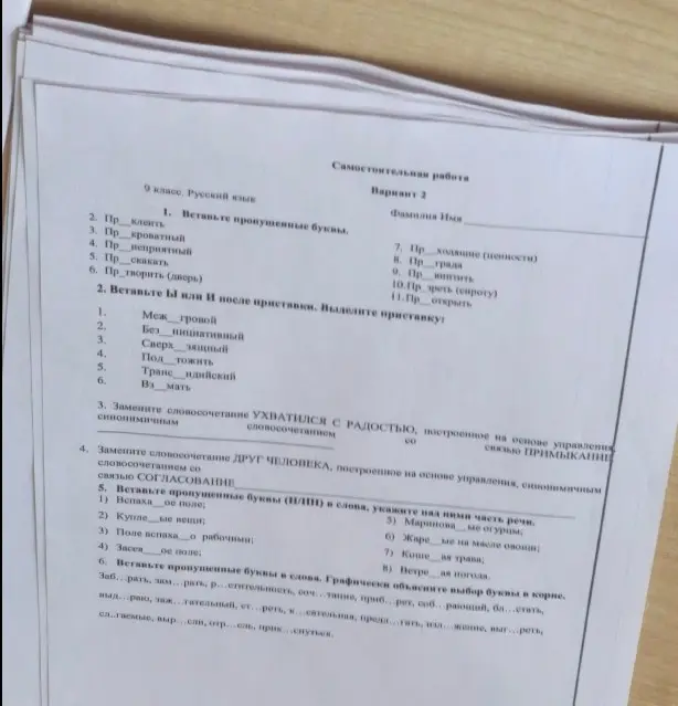 Помоги мне вставить пропущенные буквы, ы или и после приставки и т.д. в самостоятельной работе по русскому языку 9 класса.