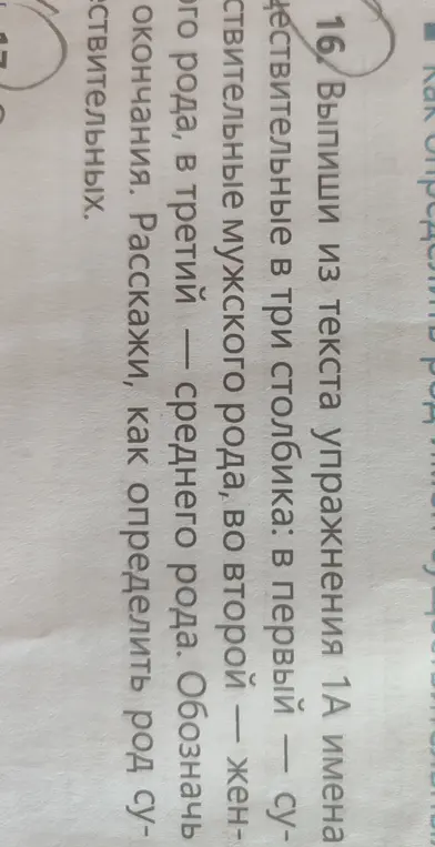 Выпиши из текста упражнения 1А имена существительные в три столбика: в первый — существительные мужского рода