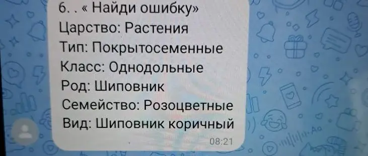 Найди ошибку в классификации растения: Царство: Растения, Тип: Покрытосеменные, Класс: Однодольные, Род: Шиповник, Семейство: Розоцветные, Вид: Шиповник коричный