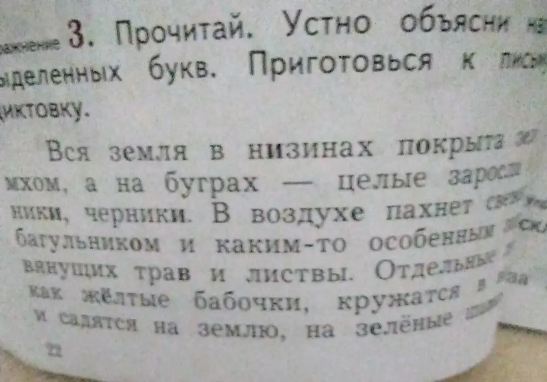 Объясни правописание выделенных букв в тексте
