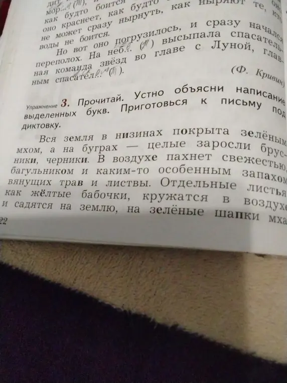 Прочитай текст и устно объясни написание выделенных букв