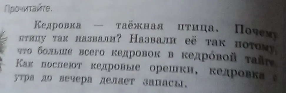 Почему птицу назвали кедровкой?