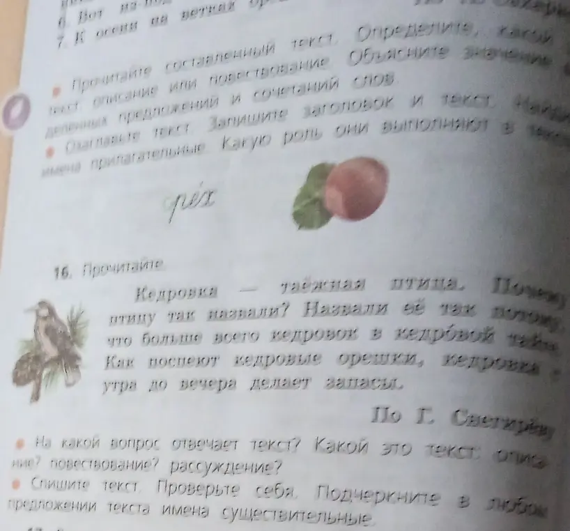 Выполни упражнение, в котором нужно ответить на вопросы по тексту о кедровке и подчеркнуть имена существительные