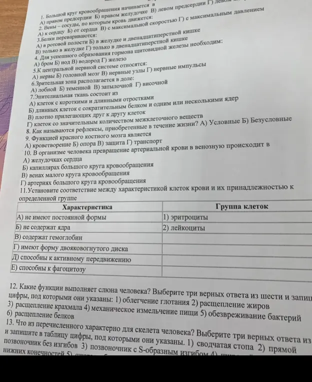 Ты просишь ответить на вопросы по биологии: Где начинается большой круг кровообращения? По каким сосудам кровь движется к сердцу? Где перевариваются белки? и т.д.