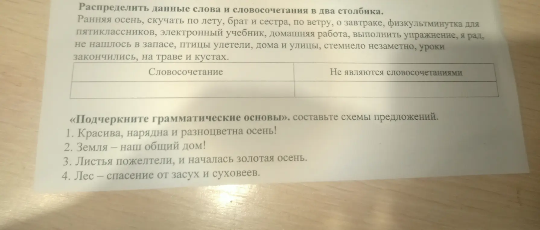 Выполни задания: распредели слова и словосочетания в два столбика и подчеркни грамматические основы, составь схемы предложений.