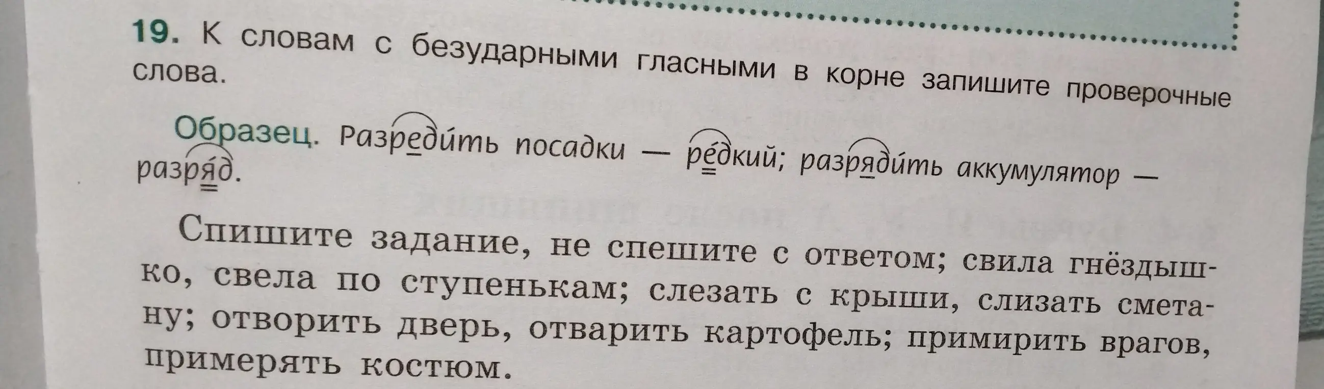 Подбери проверочные слова к словам с безударными гласными в корне: свила гнездышко.