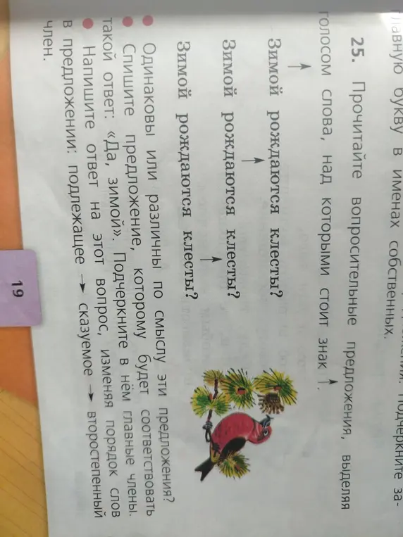 Ты просишь списать предложение, которому соответствует ответ «Да, зимой», подчеркнуть в нём главные члены и написать ответ на этот вопрос, изменяя порядок слов.