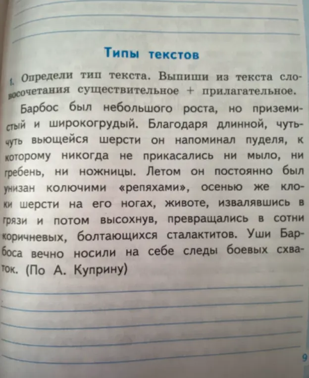 Определи тип текста и выпиши из текста словосочетания существительное + прилагательное