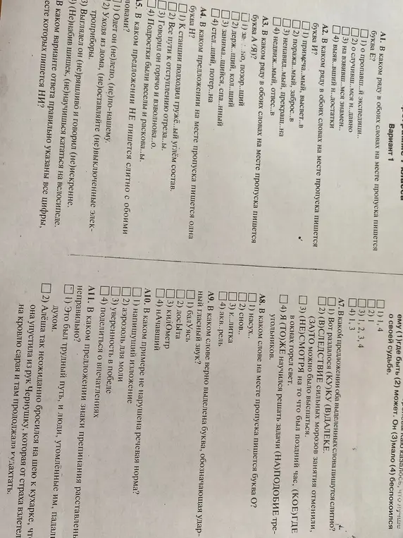 Помоги мне решить задания по русскому языку в варианте 1: А1, А2, А3, А4, А5, А7, А8, А9, А10, А11