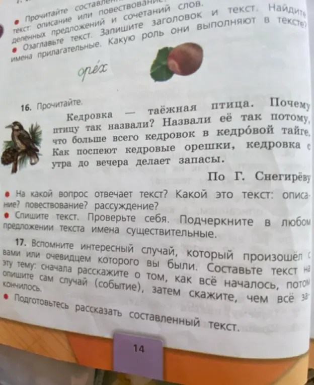 На какой вопрос отвечает текст под номером 16? Какой это текст: описание, повествование или рассуждение?