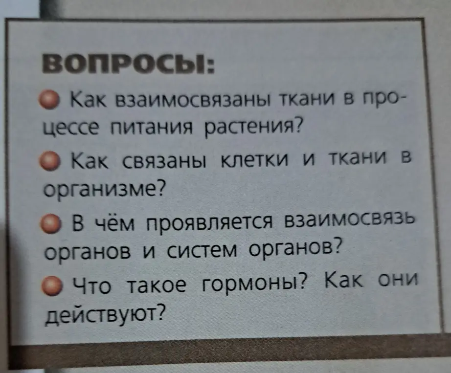 Ты просишь объяснить, как взаимосвязаны ткани в процессе питания растения?