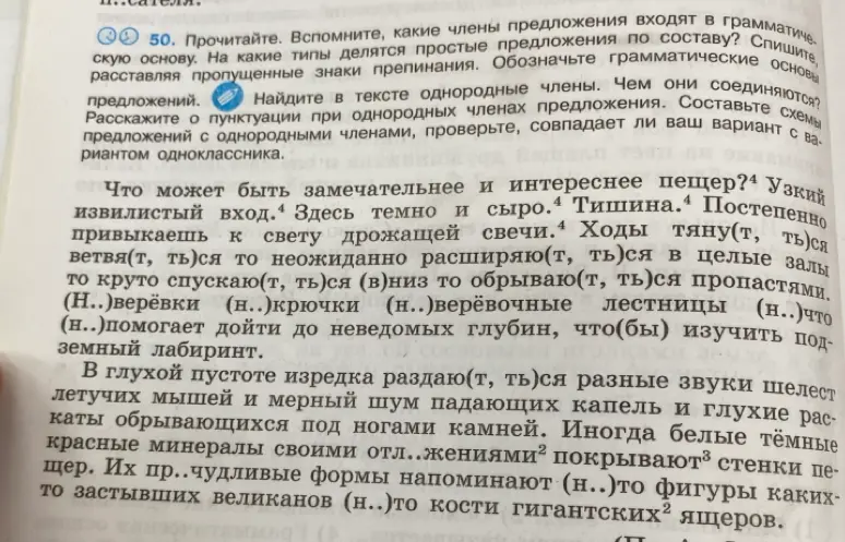 Найди в тексте однородные члены