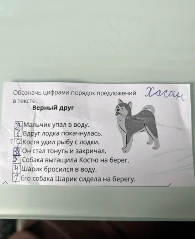 Обозначь цифрами порядок предложений в тексте про мальчика и собаку
