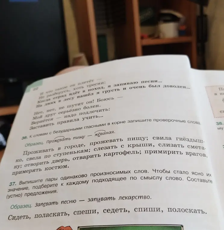 К словам с безударными гласными в корне запиши проверочные слова и выпиши пары одинаково произносимых слов