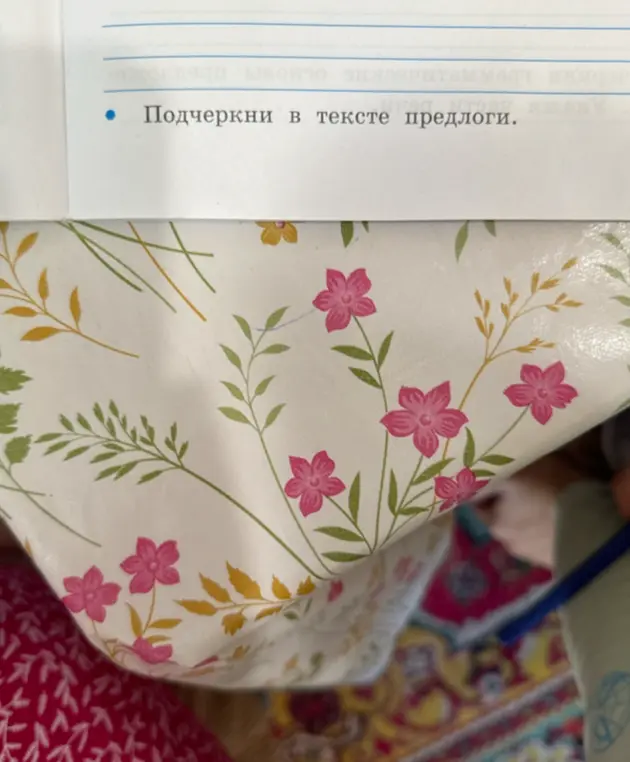 Ты просишь меня подчеркнуть предлоги в предложении «Подчеркни в тексте предлоги»