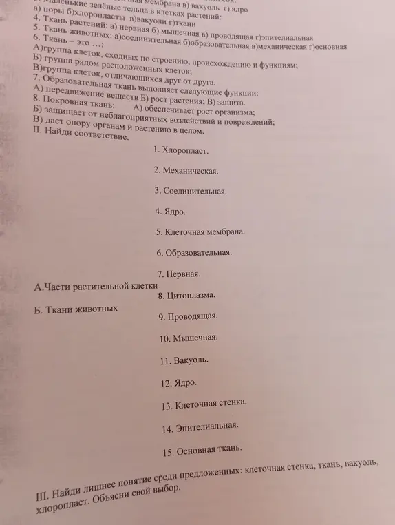 Объясни, что такое хлоропласты, какая ткань у растений, какая у животных, что такое ткань, какие функции выполняет образовательная и покровная ткань, а также помоги найти соответствие и лишнее понятие.