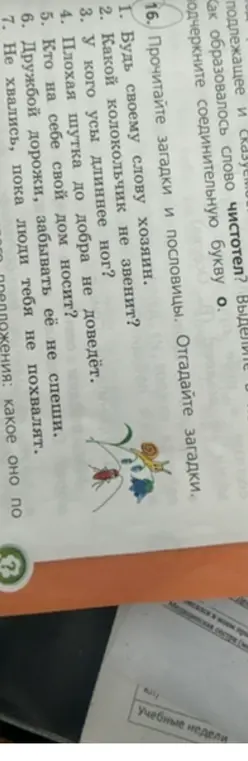 Прочитай загадки и пословицы, отгадай загадки.