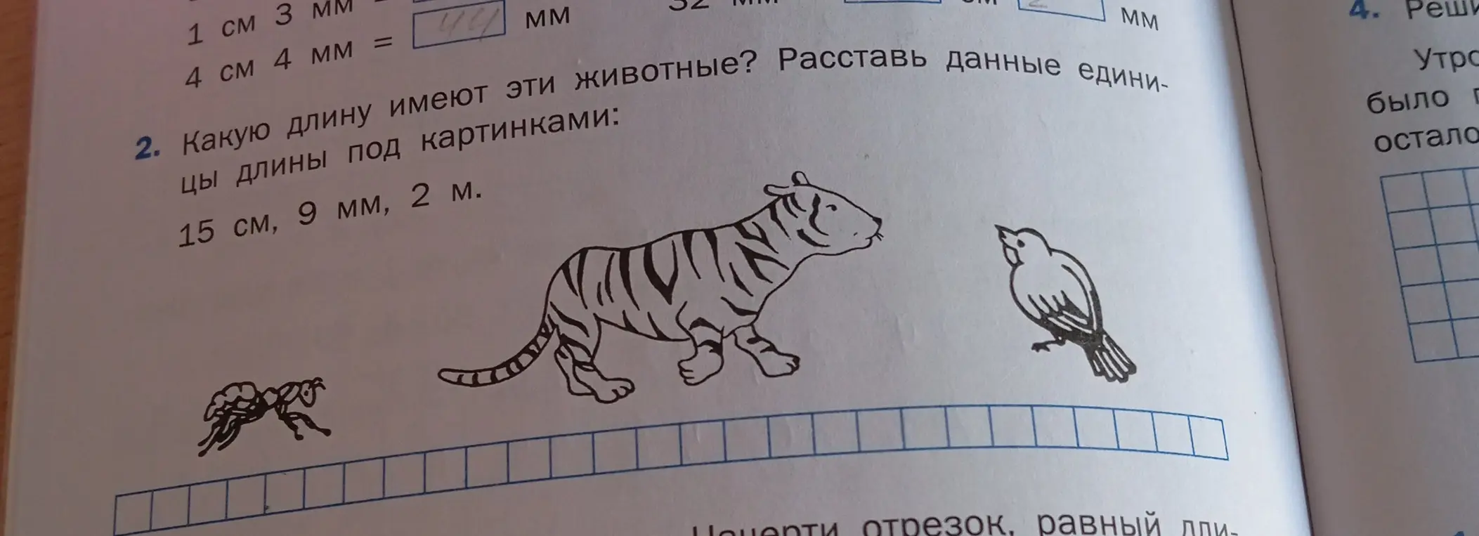 Определи длину муравья, тигра и птицы, используя размеры: 15 см, 9 мм, 2 м