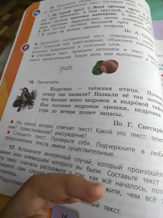 Выполни упражнения 15 и 16: определи тип текста, озаглавь, подчеркни имена существительные.