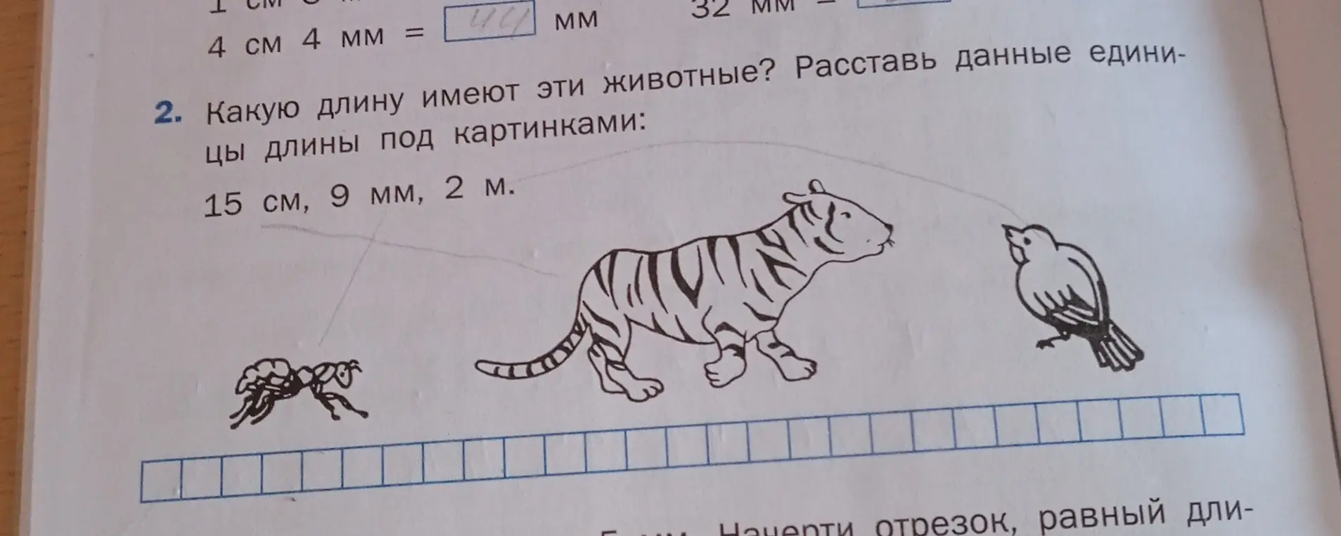 Помоги решить задачу: Какую длину имеют эти животные? Расставь данные единицы длины под картинками: 15 см, 9 мм, 2 м.