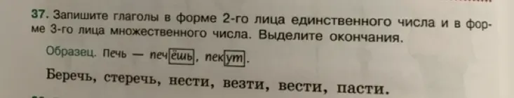 Напиши глаголы «беречь, стеречь, нести, везти, вести, пасти» в форме 2-го лица единственного числа и в форме 3-го лица множественного числа.