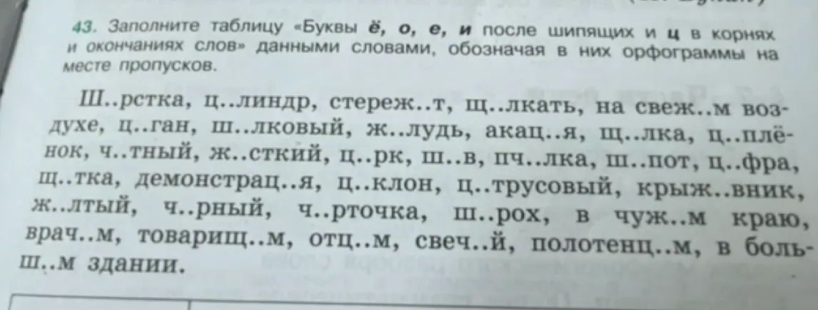 Пропущены буквы ё, о, е, и после шипящих и ц в корнях и окончаниях слов