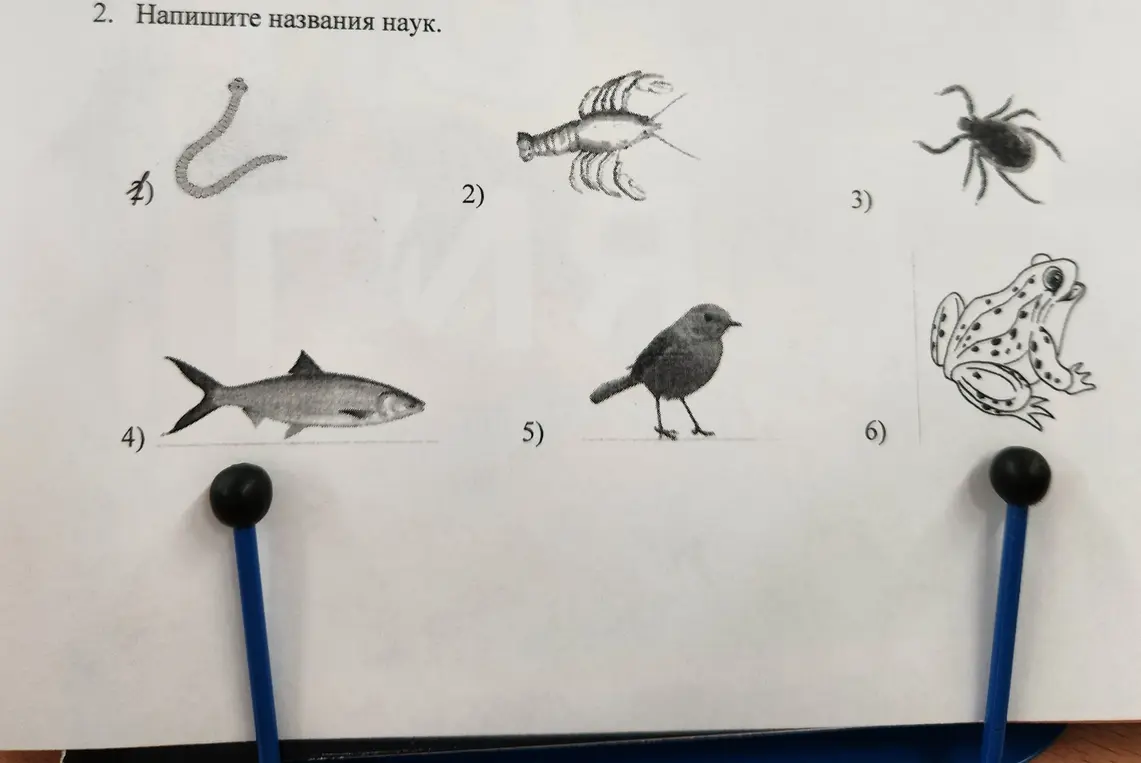 Напиши названия наук.