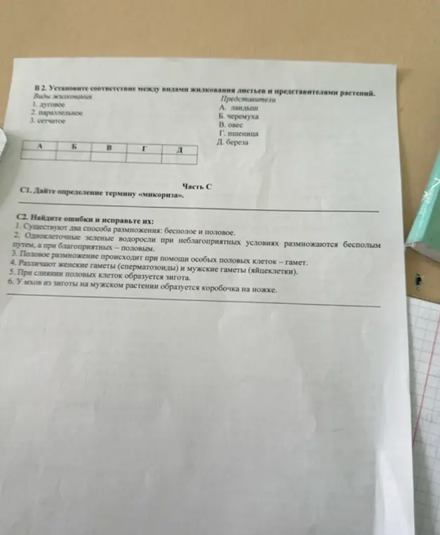 Ты просишь установить соответствие между видами жилкования листьев и представителями растений, дать определение термину «микориза» и найти ошибки в утверждениях о размножении растений.