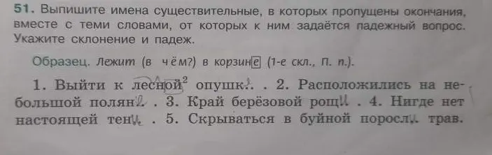 Выпиши имена существительные, в которых пропущены окончания, вместе с теми словами, от которых к ним задаётся падежный вопрос. Укажи склонение и падеж в предложении: Выйти к лесной опушк!.