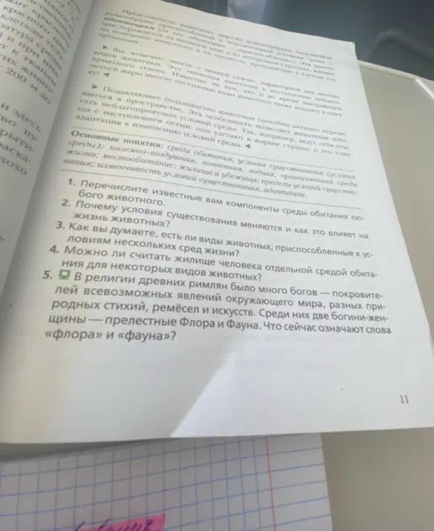 Перечисли мне известные компоненты среды обитания любого животного
