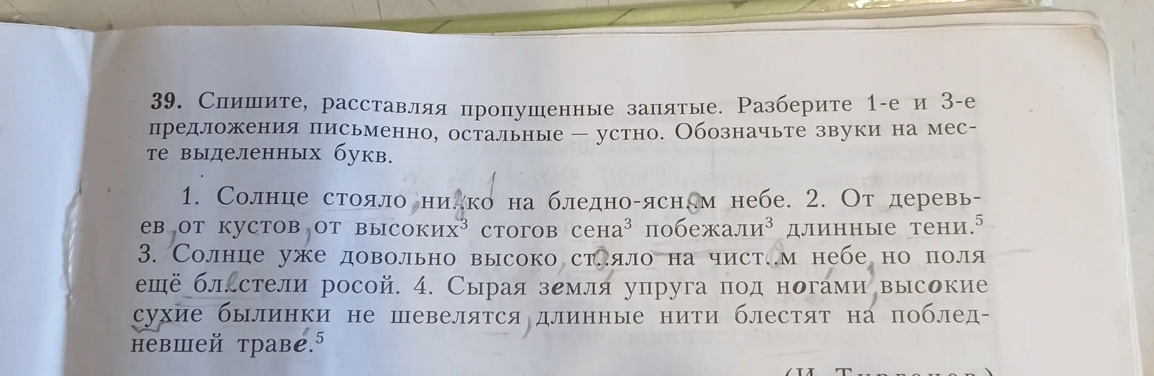 Выполни задание: спиши, расставляя пропущенные запятые в 1-м предложении 'Солнце стояло нико на бледно-ясном небе' и разбери его письменно.
