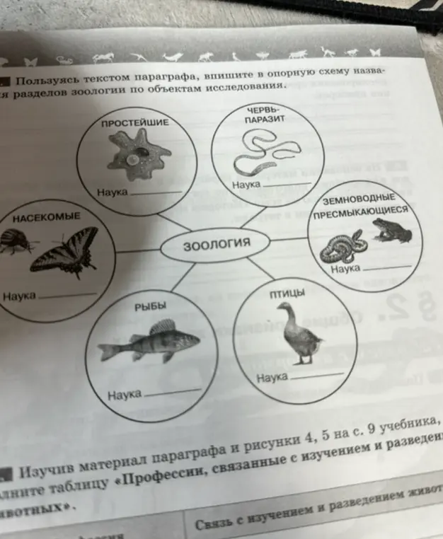 Составь опорную схему названий разделов зоологии по объектам исследования