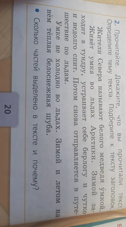 Как определить тему текста про белого медведя и объяснить, почему в тексте выделено две части?