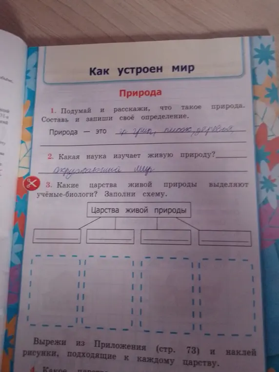Какие царства живой природы выделяют учёные-биологи?
