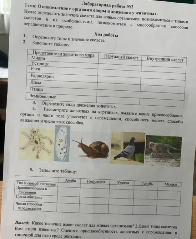 Заполни для меня таблицы про типы скелетов и способы передвижения животных