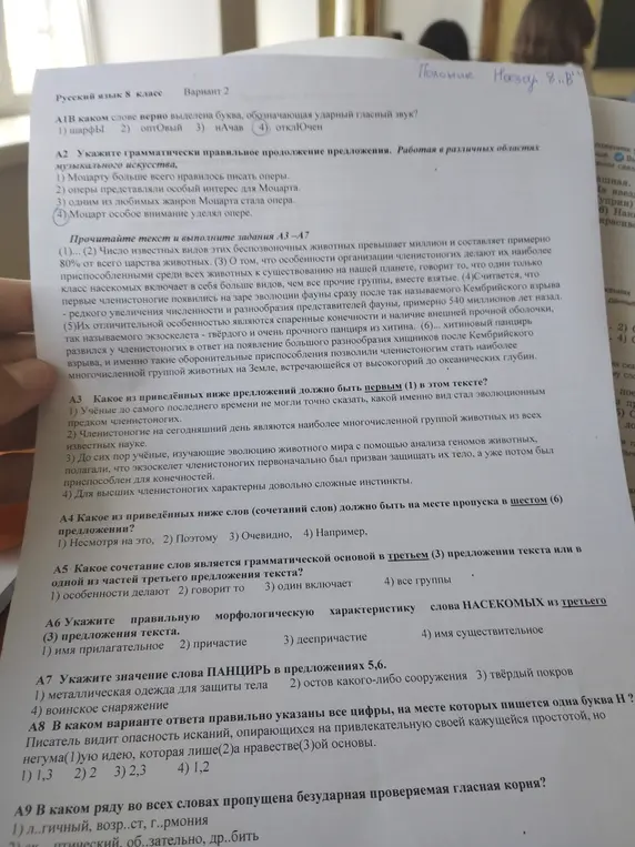 Ты просишь меня ответить на вопросы по русскому языку (вариант 2) с А1 по А9.