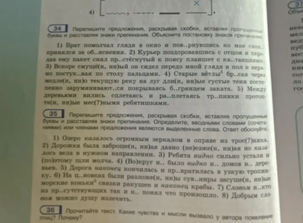 Помоги мне переписать предложения, раскрывая скобки, вставляя пропущенные буквы и расставляя знаки препинания.