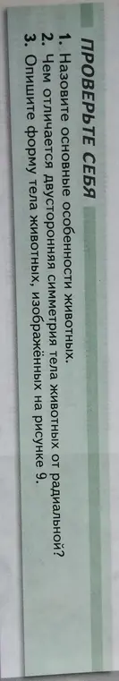 Назови основные особенности животных.