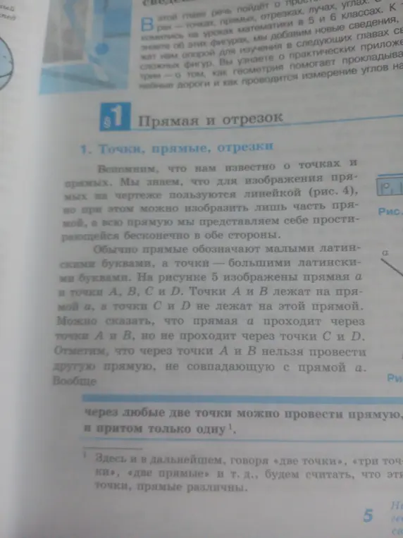 Расскажи, что я узнаю из текста про прямую и отрезок