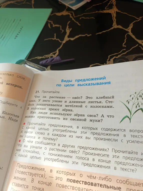 Объясни, с какой целью употреблены вопросительные предложения в тексте об овсе в упражнении 21