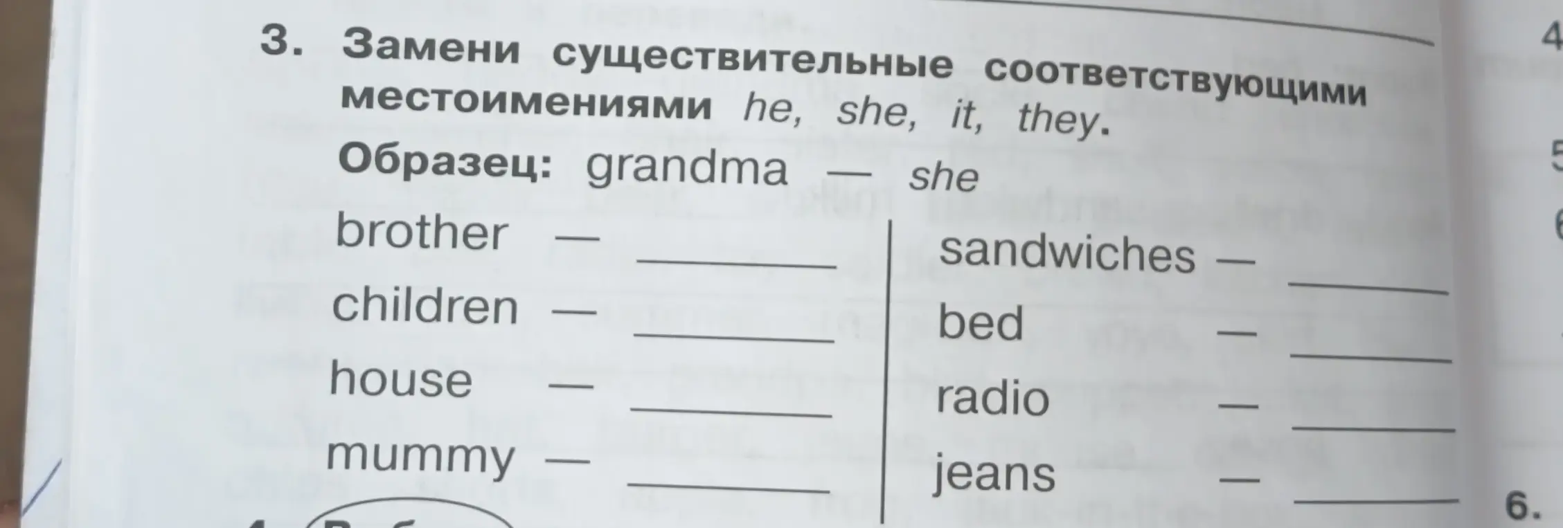 Замени существительное brother соответствующим местоимением he, she, it, they