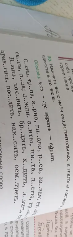 Измени число имен существительных и поставь глаголы единственного числа в задании 30