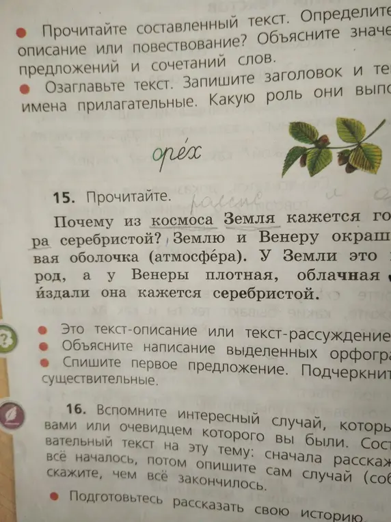Определи тип текста, объясни написание выделенных орфограмм и выпиши первое предложение, подчеркни существительные.