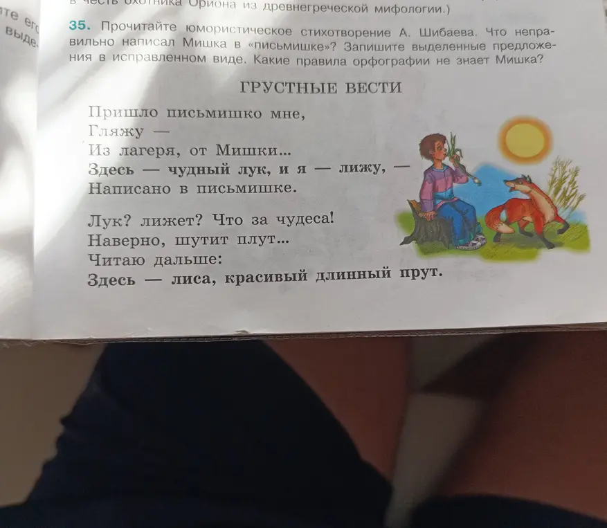 Объясни, что неправильно написал Мишка в «письмишке» и какие правила орфографии он не знает