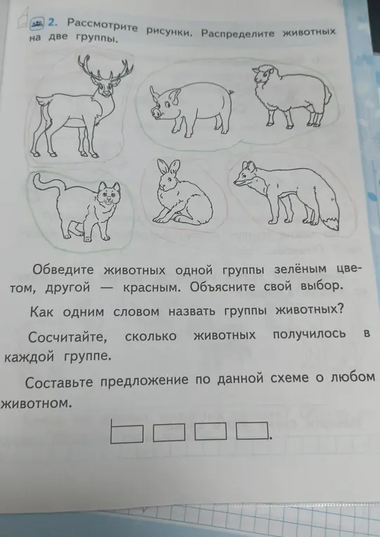 Раздели животных на две группы, назови одним словом группы животных, сосчитай сколько животных в каждой группе, составь предложение по данной схеме о любом животном