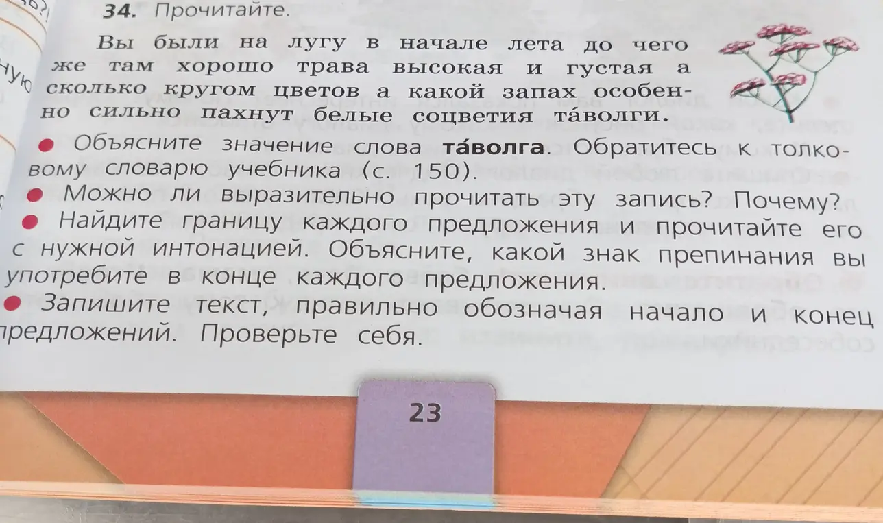 Объясни значение слова таволга