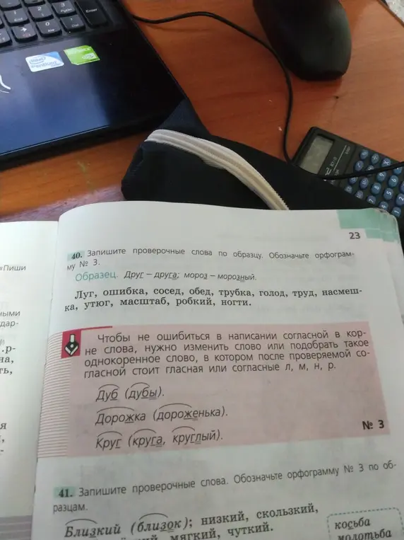 Напиши проверочные слова по образцу для слов луг, ошибка, сосед и других.