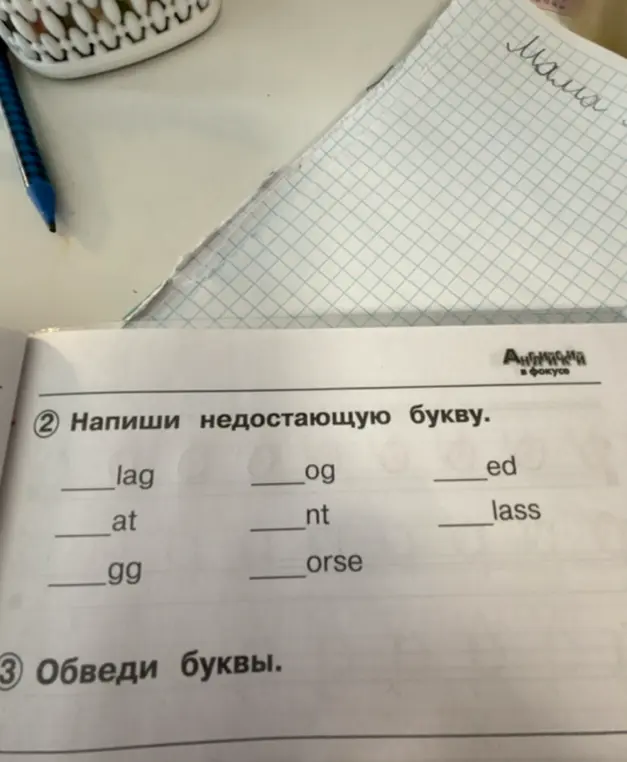 Ты просишь написать недостающую букву в словах flag, dog, red, cat, pant, glass, egg, horse.