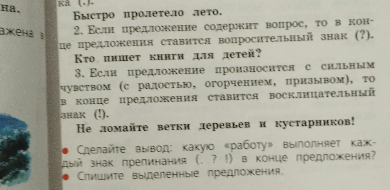 Ты просишь сделать вывод, какую работу выполняет каждый знак препинания (. ? !) в конце предложения и списать выделенные предложения.